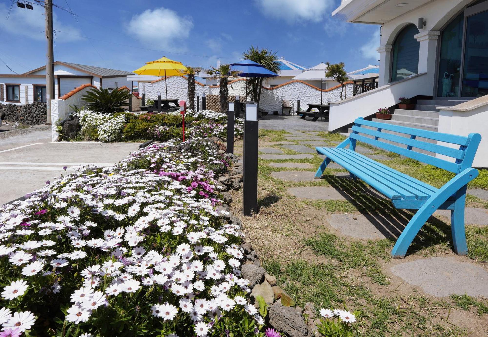 Pension Haneul Tari Jeju Exterior photo